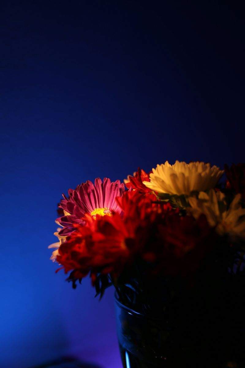 ライトビジョン株式会社 - Image 9